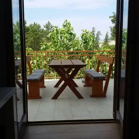 New, Sunny Surrounded By Nature