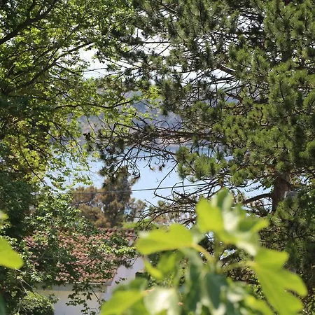 Apartment New, Sunny Surrounded By Nature Omisalj