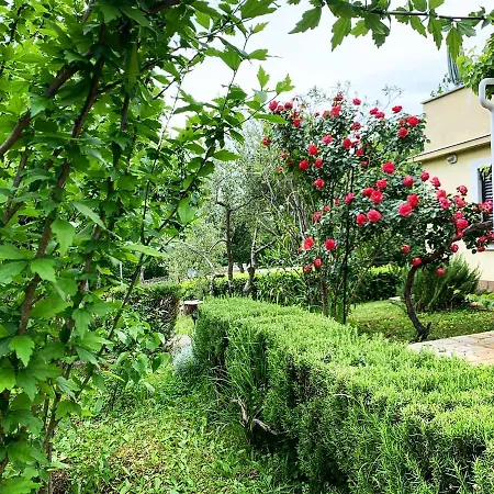 New, Sunny Surrounded By Nature * אומיסאליי