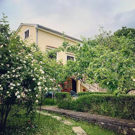 New, Sunny Surrounded By Nature דירה