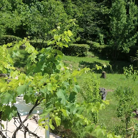 New, Sunny Surrounded By Nature 公寓 奥米沙利